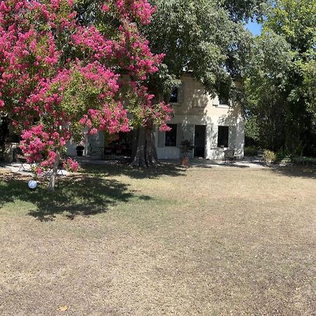 Alpilles Camargue Mas Falabrego Raphele Exterior photo