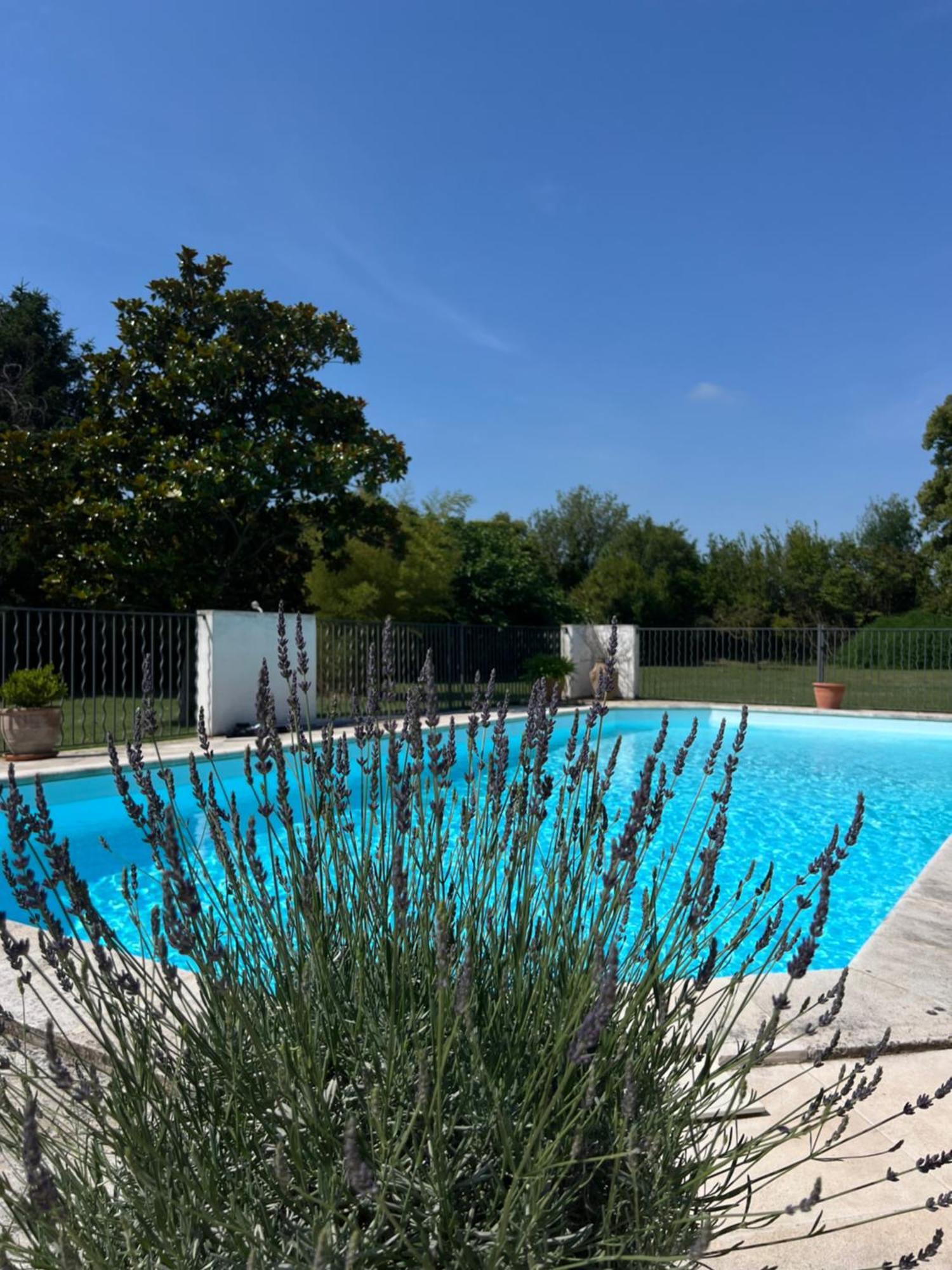 Alpilles Camargue Mas Falabrego Raphele Exterior photo